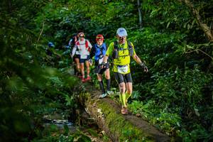 BIB: 
                            <button type="button" onclick="openModal(18922890)" class="btn btn-primary btn-sm float-right btn-popup" data-toggle="modal" data-target=".modal-high-quality">
                        <i class="fas fa-shopping-cart"></i> Add to Cart
                    </button>
                                            <button type="button" onclick="isThisMe(18922890, true)" class="btn btn-success btn-sm float-right btn-popup btn-isme hidden" data-toggle="tooltip" data-placement="bottom" title="นี่คือรูปของคุณใช่ไหม คลิกที่นี่เพื่อเอาเข้าอัลบั้ม">
                        <i class="fas fa-plus"></i> Add to album
                    </button>
                    <button type="button" onclick="isThisMe(18922890, false)" class="btn btn-warning btn-sm float-right btn-popup btn-isnotme hidden">
                        <i class="fas fa-ban"></i> Remove from album
                    </button>